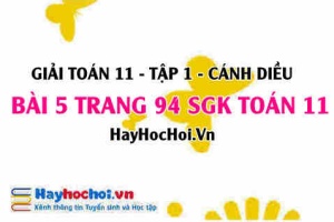 Giải bài 5 trang 94 Toán 11 tập 1 SGK Cánh Diều